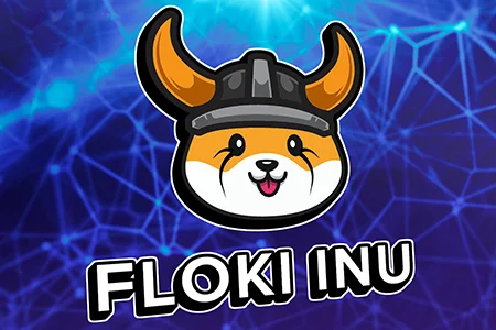 ارز دیجیتال فلوکی اینو, ارز دیجیتال فلوکی اینو چیست, FLOKI یک توکن سازگار با ERC-20 و BEP-20 است