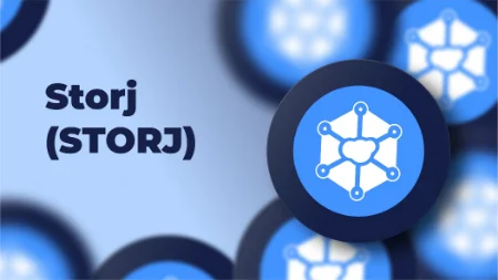 ارز دیجیتال استورج, معایب استورج