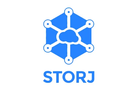 ارز دیجیتال استورج, معایب استورج