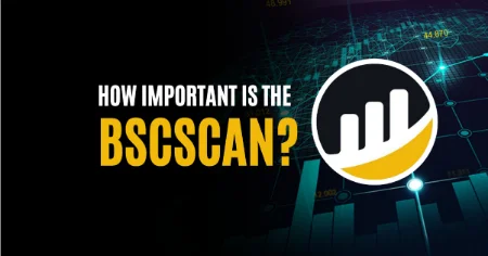 bscscan چیست, نحوه استفاده از BSCScan