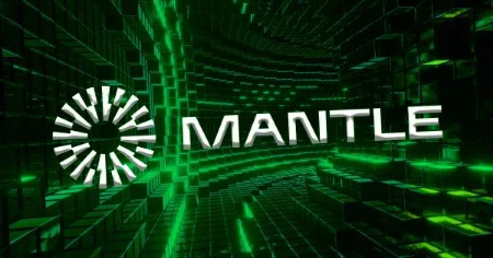 ارز دیجیتال منتل, تراکنشهای اتریوم