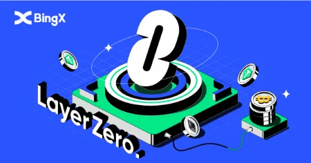 خرید ارز ZRO, پروتکل لیر زیرو