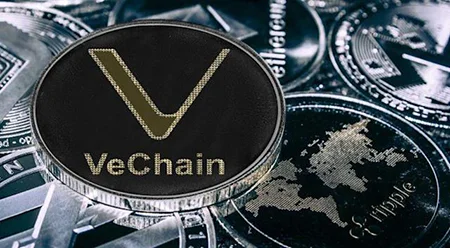 آشنایی با تاریخچه، بنیانگذاران و نحوه کار ارز دیجیتال وی چین (VET)