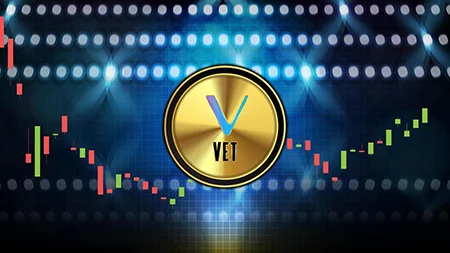 vechain ارز دیجیتال, بنیانگذاران ارز وی چین, وی چین