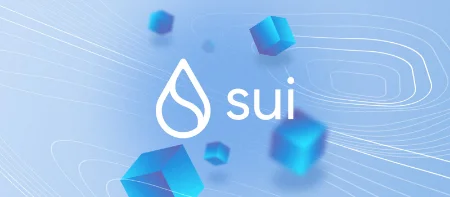 ارز سویی sui, کاربردهای سویی