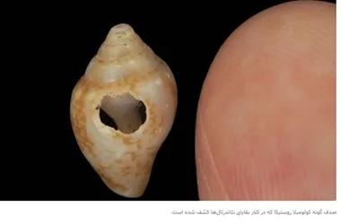 اخبار،اخبار جدید،اخبار روز