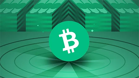 بیت کوین کش (BCH) چیست و چگونه کار می کند؟