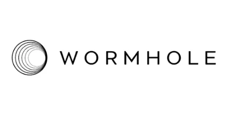 شبکه Wormhole,نحوه استفاده از شبکه Wormhole