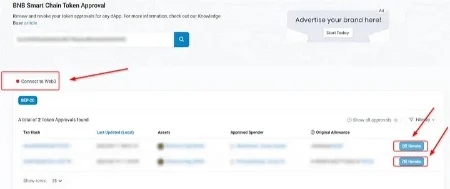 آیس فیشینگ, جلوگیری از آیس فیشینگ