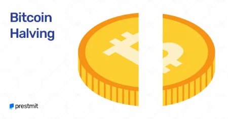 هاوینگ بیت کوین, نمودار هاوینگ بیت کوین