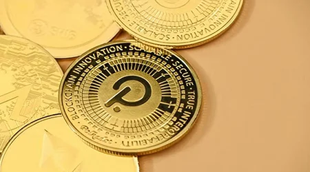 پولکادوت چیست و آیا سرمایه گذاری خوبی است؟