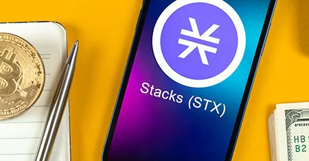 ارز استکس, ارز دیجیتال stx, سرمایه گذاران در Stacks