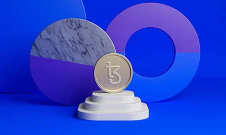 ایمنی شبکه تزوس, نحوه استفاده از Tezos, نحوه خرید تزوس