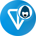 TON Logo